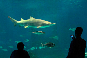 Aquarium Barcelona