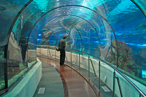 Tickets for Barcelona's Aquarium